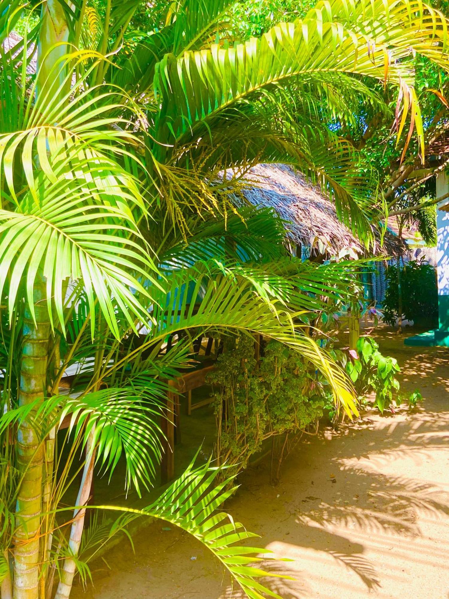 Marina Way Hotel Arugam Bay Buitenkant foto