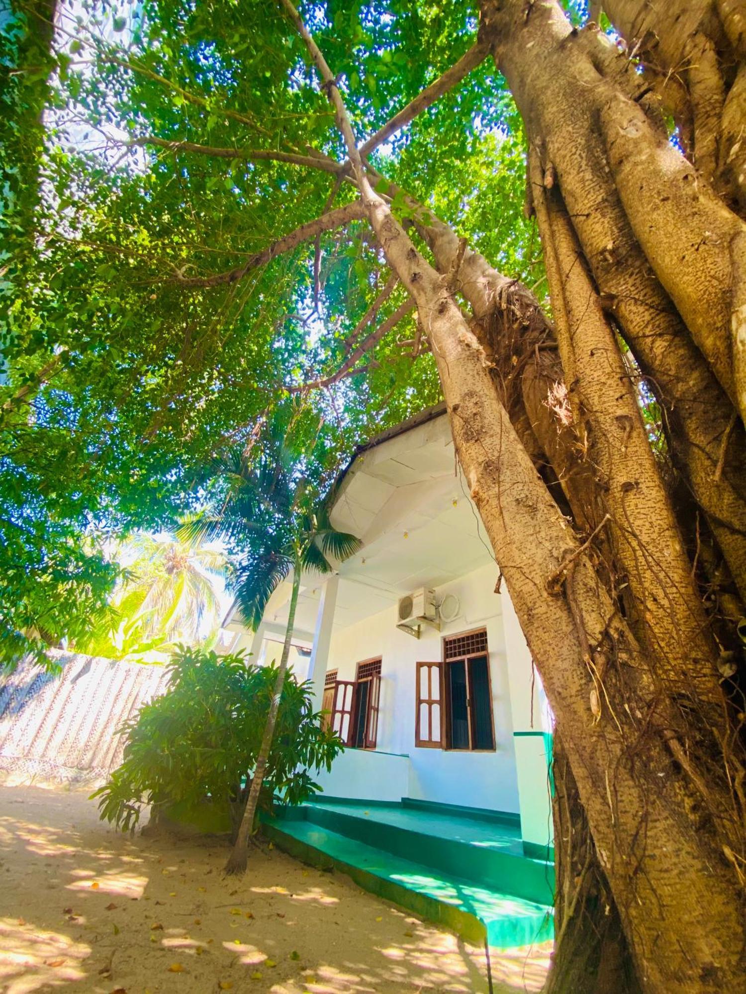 Marina Way Hotel Arugam Bay Buitenkant foto