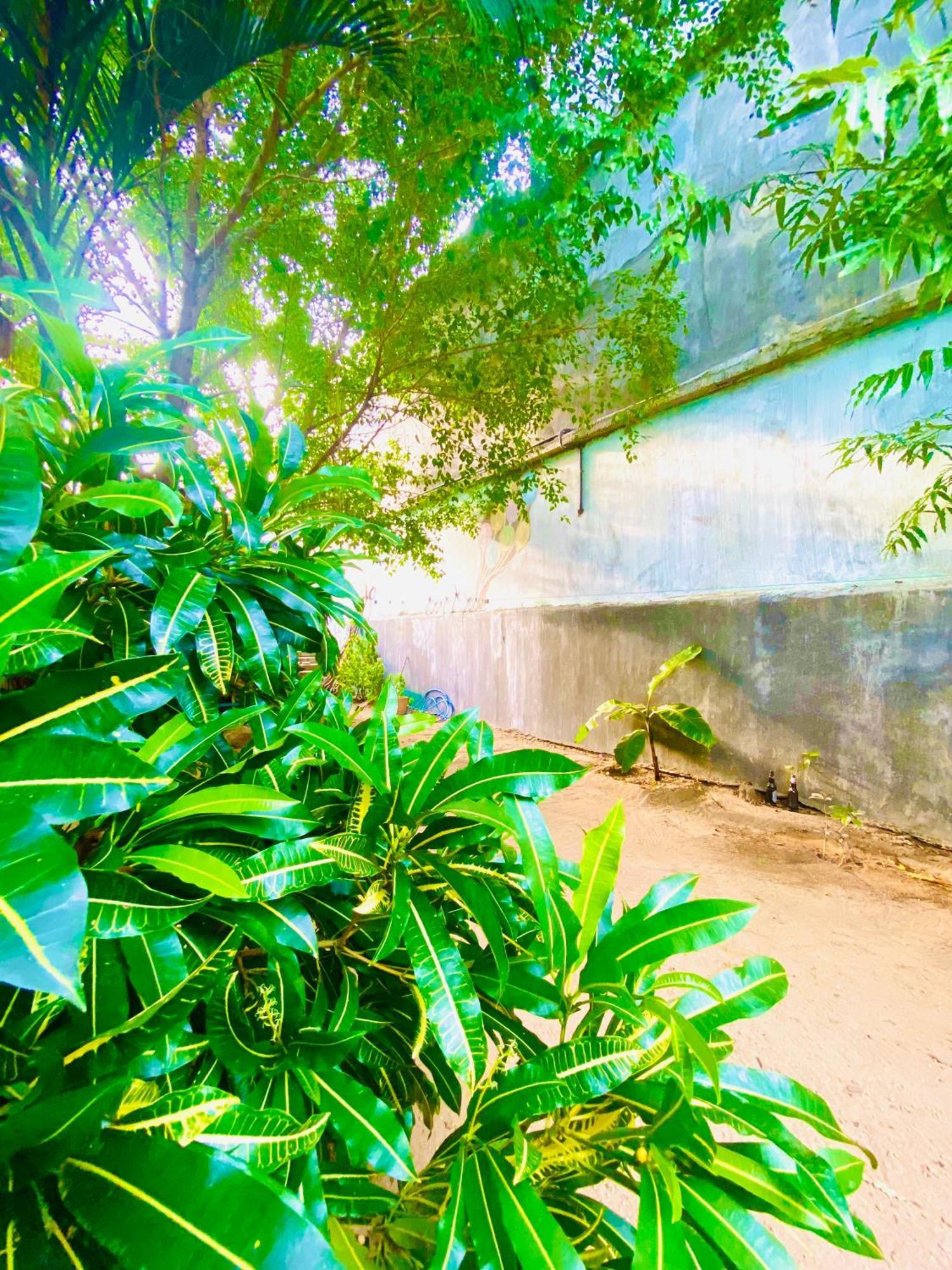 Marina Way Hotel Arugam Bay Buitenkant foto